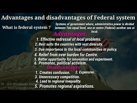 advantages and disadvantages of federal government