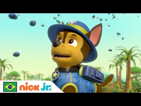 Patrulha Canina | Patrulha Canina - Resgates de Insetos | Nick Jr. em Português