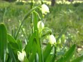 「キミと歩く道」  青木たかし