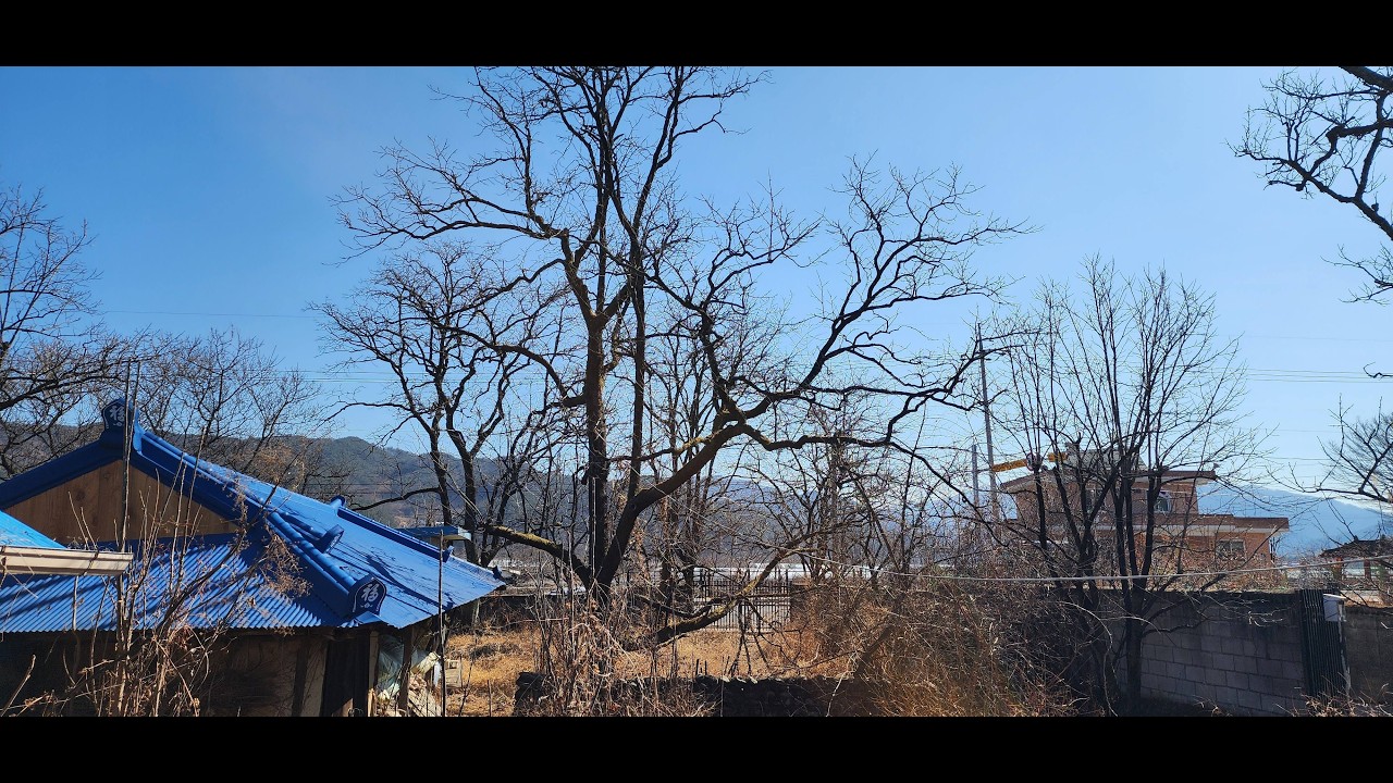 #4998 [5] 구정 성묘 내동 (5/6) 2026 구정 △ 26/02 * 화요일, #02/17