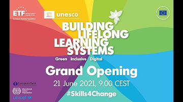 Building lifelong learning systems: Setting the scene