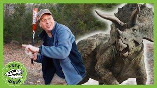 Dinosaur Mystery Box Challenge at Heard Museum! T-Rex Ranch Dinosaurs for Kids