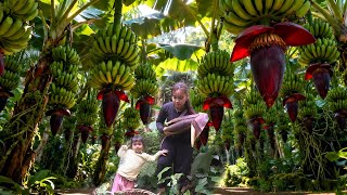 A Day With My Little Daughter in the Forest Picking Banana Blossoms to Sell at the Local Market