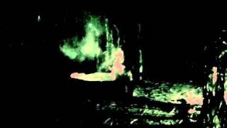 Insanity Point Haunted Corn Maze
