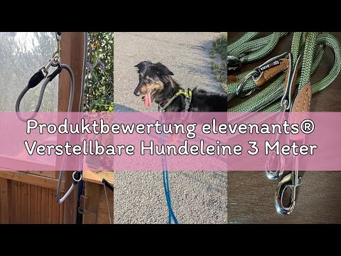 Produktbewertung elevenants® Verstellbare Hundeleine 3 Meter | Robuste Nylon Umhängeleine für mittel