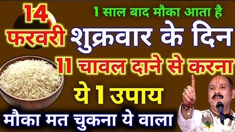 14 फरवरी फाल्गुनमास शुक्रवार द्वितीया को 11 चावल दाने वाला उपाय जरुर करें || Pradeep Ji Mishra