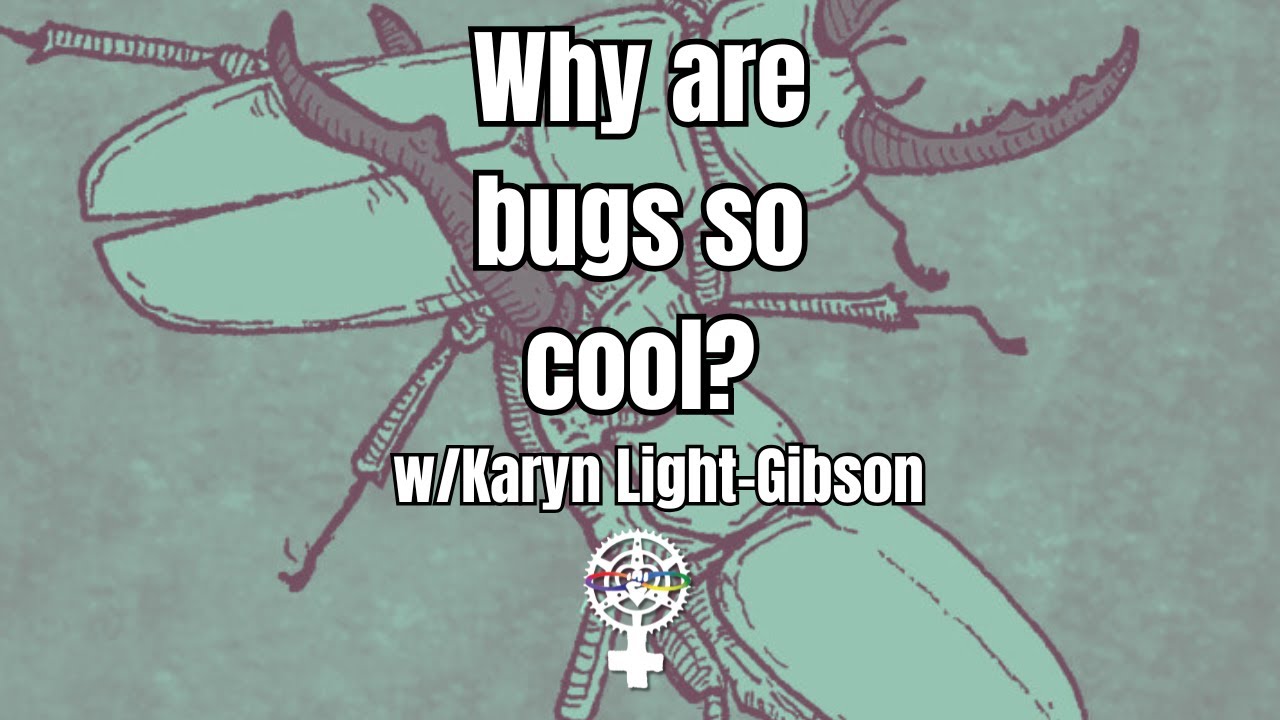 Why are bugs so cool? w/Karyn Light-Gibson (author of BUG LIFE) | A People's Guide to Publishing