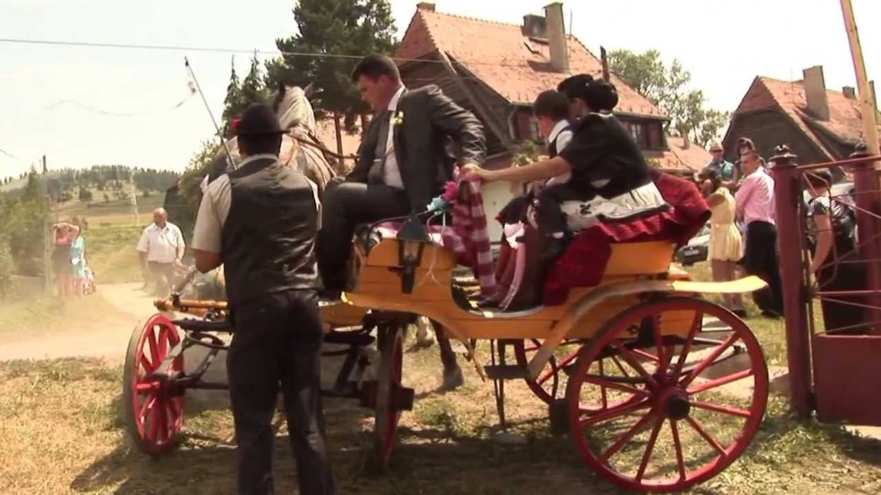 Esküvőn megvadult lovak