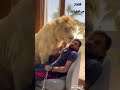 قاهر الوحوش قاهر الوحوش
