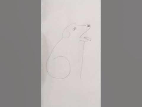 как по цыфрам нарисовать 🐱🐶 - YouTube