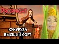 ПРОПНОЧНОЙ ПОТОК • PROPNIGHT • А НА ЮТУБЕ НОВАЯ ЧАСОВАЯ НАРЕЗКА!