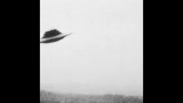 [FREE] 10$ Sample Edm Experimental type beat | Electronic Type Beat | 140 BPM | Bouncy