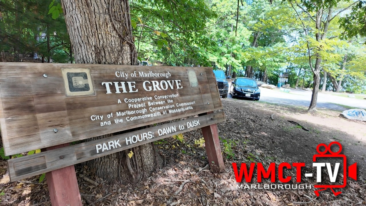The Grove: A Guide to Nature