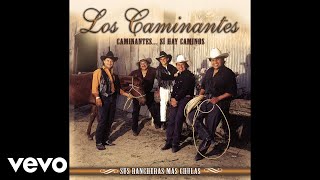 Video thumbnail of "Los Caminantes - Tu Mirada (Audio)"