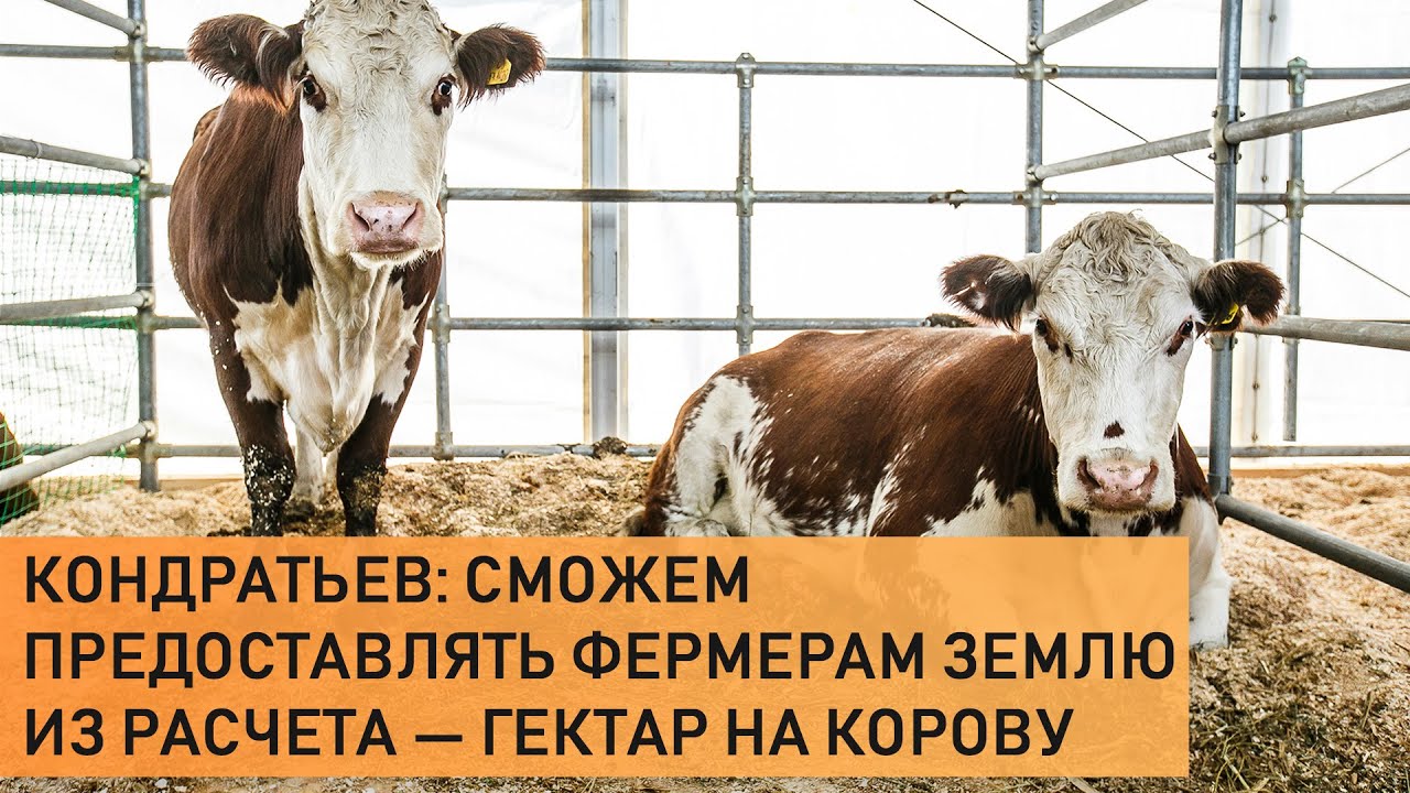 Кондратьев: сможем предоставлять фермерам землю из расчета — гектар на ...