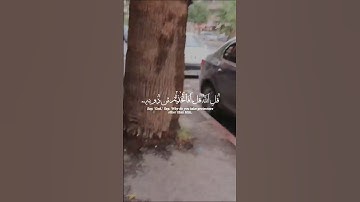 تلاوة خاشعة لآيات من كتاب الله #القرآن_الكريم #الله #اكسبلور #foryou #راحة_نفسية #fyp