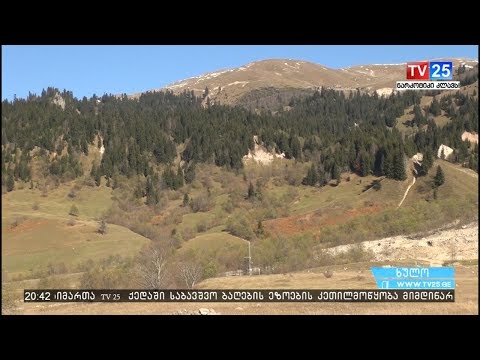 ახალწლამდე ორი თვით ადრე დაჯავშნილი ნომრები გოდერძიზე