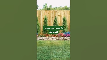 سورة المجادله بصوت الشيخ سلمان العتيبي