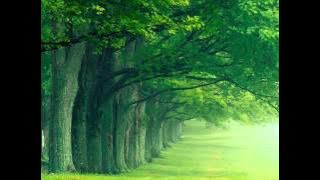 Susan Jacks   Evergreen 1980)