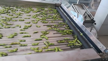pea peeling machine, pea sheller, green soybean shelling machine