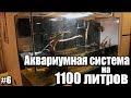 Строительство аквариумной системы на 1100 литров. Часть шестая. Запуск аквариума.