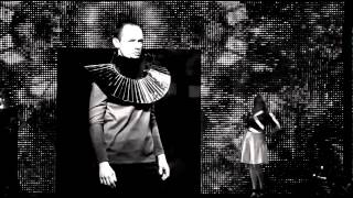 Lunar Gala 2015: Promo