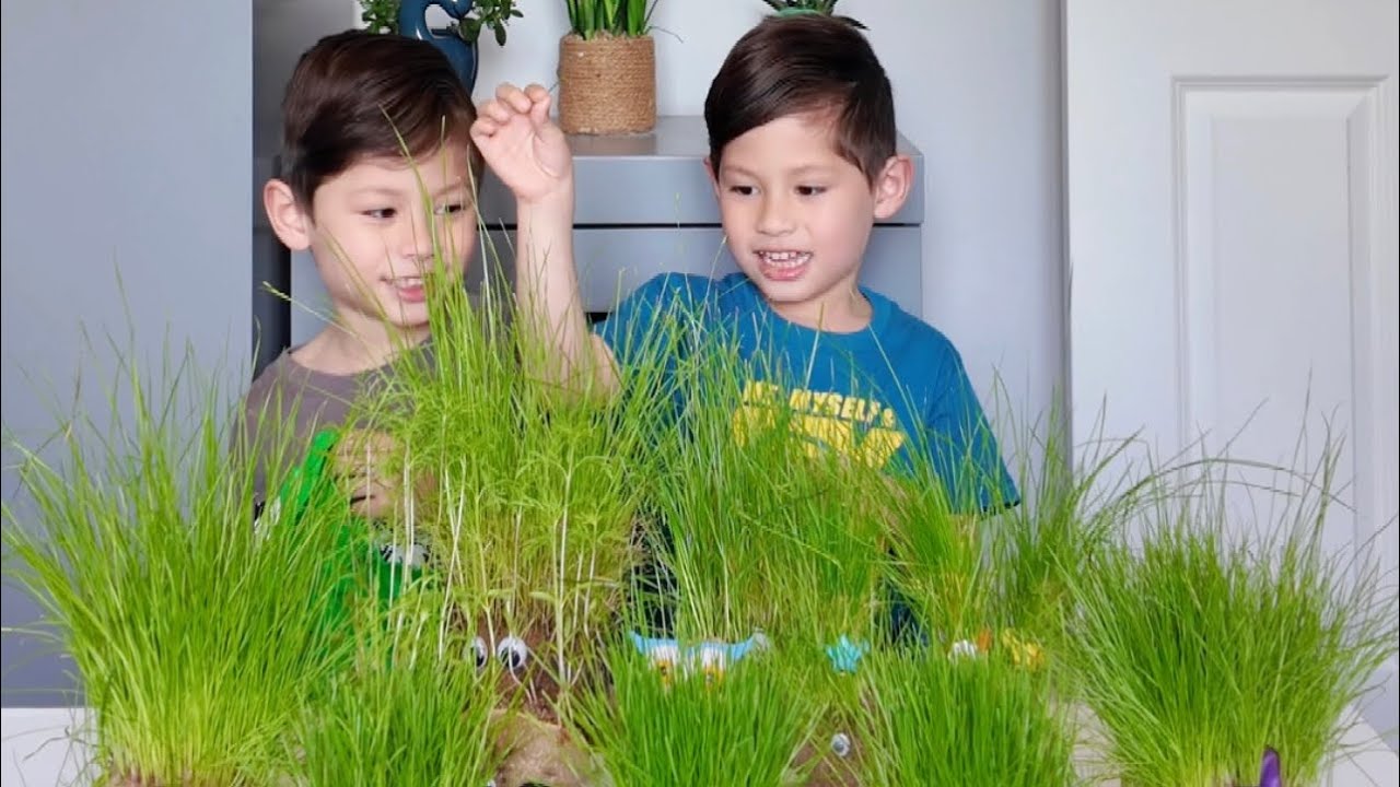 Bagong hairstyle ng grass head family! 🤍