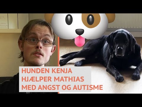 Video: Hjælper Det At Sige Farvel Til Angst Fra Hundeseparation?