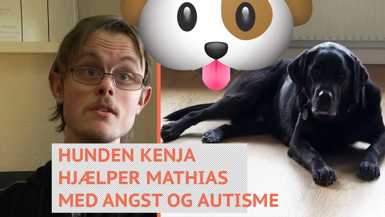 Hunden Kenja Mathias angst og autisme – TV-Glad - YouTube