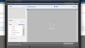 Rapid Intake Visual Layout Page