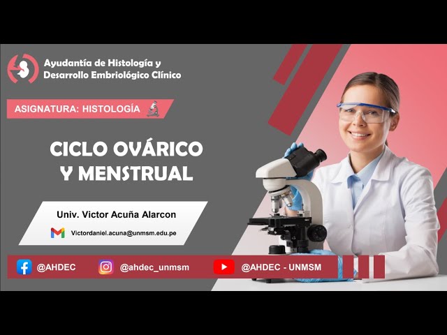 Embrio 02 | Ciclo Ovárico y Menstrual - SOCIBASF