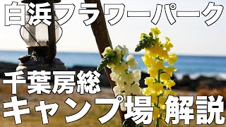 白浜フラワーパークのキャンプ場解説、千葉房総おすすめキャンプ場