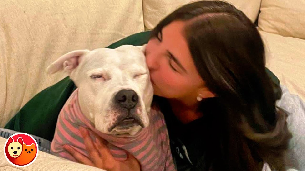 This Senior Rescue Dog Had Never Felt Love in 10 Years, Until She Met Me | Tails & Hugs