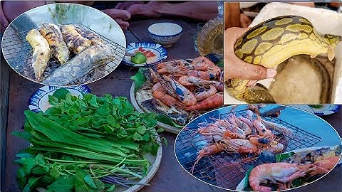 Một ngày lặn Tôm càng - bắt cá Chạch Lấu  trên sông Tiền | Gấc Quê