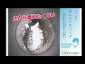 【耳そうじ】Vol.106 主から離れたくない・・甘えん坊のしっとり耳あか