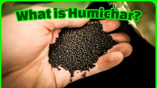 Humichar Demystified: From Biomass to Black Gold