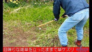 ウィドシェッジ 立ったままで草ケズリ！目ざわりの雑草をザクザク削り取ります。刃先は日本製ですよ！