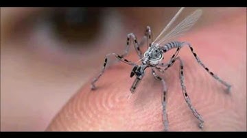 Tiny Insect Spy Robot By US Military