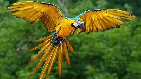 استماع سورة الانشقاق مكتوبة كاملة بالتشكيل وآياتها ٢٥، كتابة كبيرة