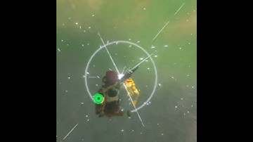 Multi-tech gold bokoblin kill!