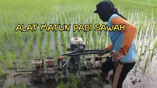 Download Lagu ALAT MATUN PADI SAWAH || SANGAT MEMBANTU MP3
