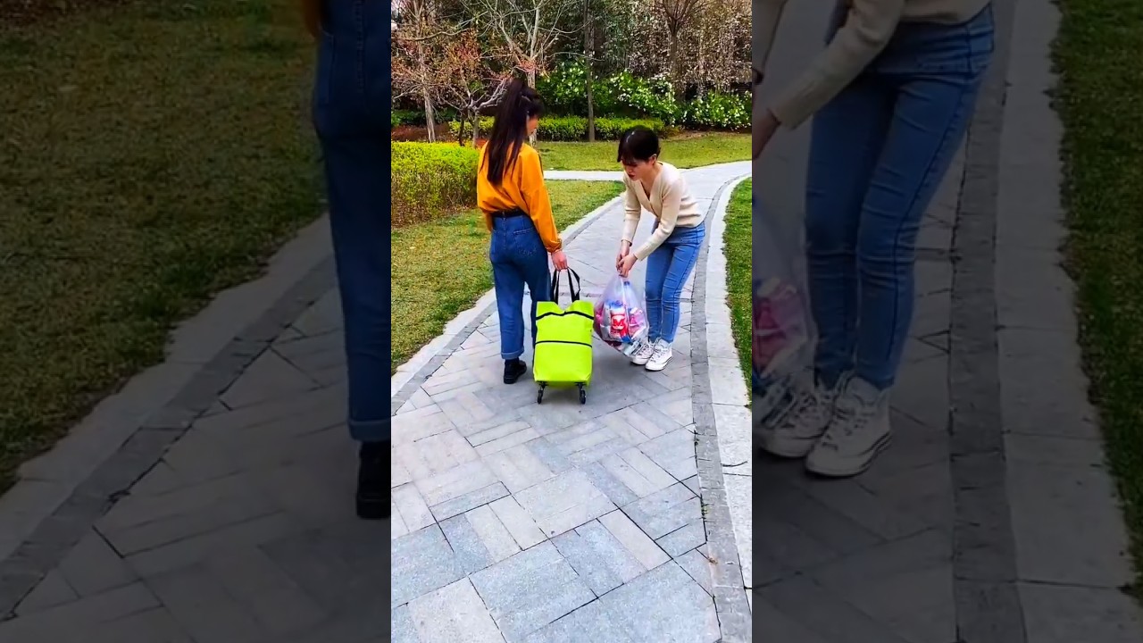 🛍️ This Wheeled Bag Makes Heavy Shopping Completely Effortless 🔥😲