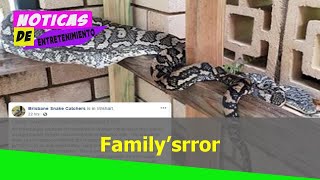 Familysrror After A Finding Mive Python Eating Their Pet Cat
