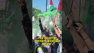Pro-Palestinian March Takes Streets in Chicago on Day 1 of Democratic Convention
Pro-Palestinian March Takes Streets in Chicago on Day 1 of Democratic Convention Pro-Palestinian March Takes Streets in Chicago on Day 1 of Democratic Convention