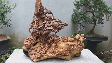 Tượng phật Di lặc Ngũ tặc ngồi gốc tùng Gỗ bách xanh Mộc Châu đẹp mịn màng óng ả thơm ngát