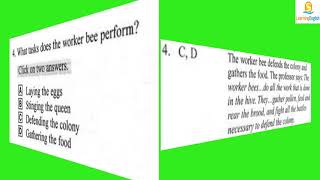 Toefl Listening Test 27  (10 questions with answers)