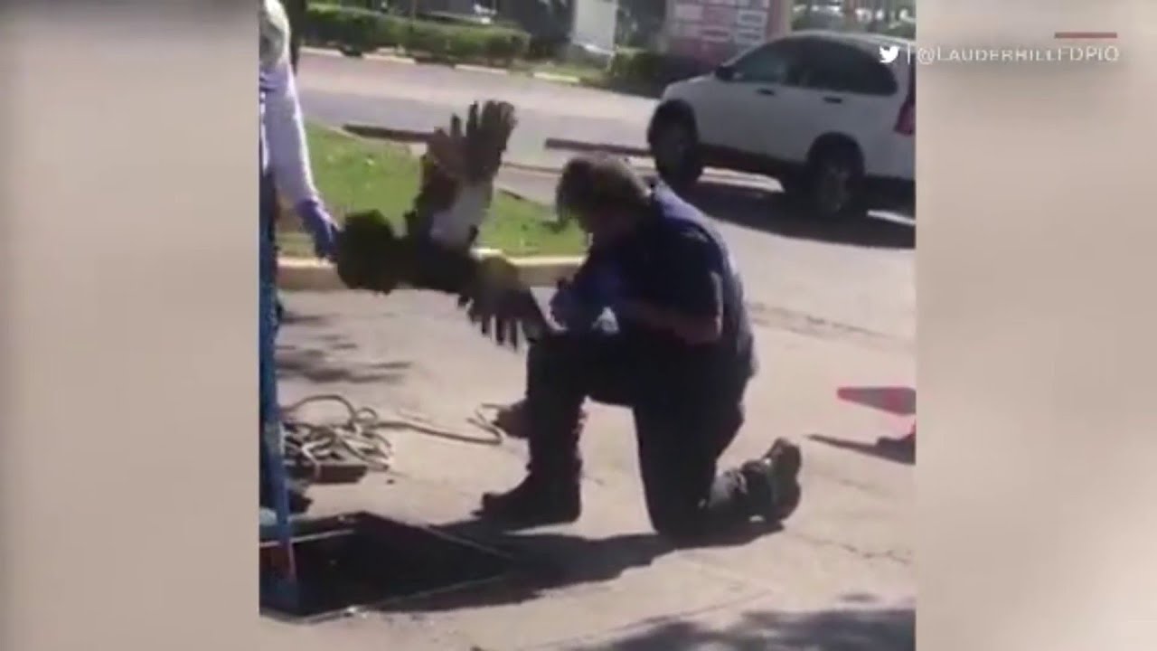 newspaper mockup Florida firefighter meets upset mama duck during duckling rescue