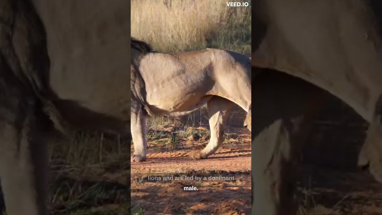 Watch Fascinating facts about animals on YouTube Watch Fascinating facts about animals on YouTube