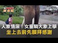 CTWANT 國際新聞 人象情深 女童天天騎大象上學 坐上去前先膜拜感謝 CTWANT 國際新聞 人象情深 女童天天騎大象上學 坐上去前先膜拜感謝