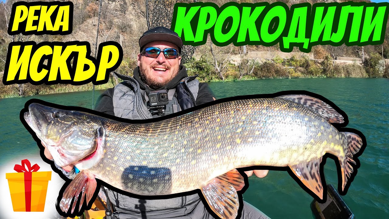 НЯМА ДА ПОВЯРВАТЕ КАКВО СЕ СЛУЧИ. РАЗБИХ ЩУКИТЕ. РИБОЛОВ НА ЩУКА И КЕФАЛ НА РЕКА ИСКЪР